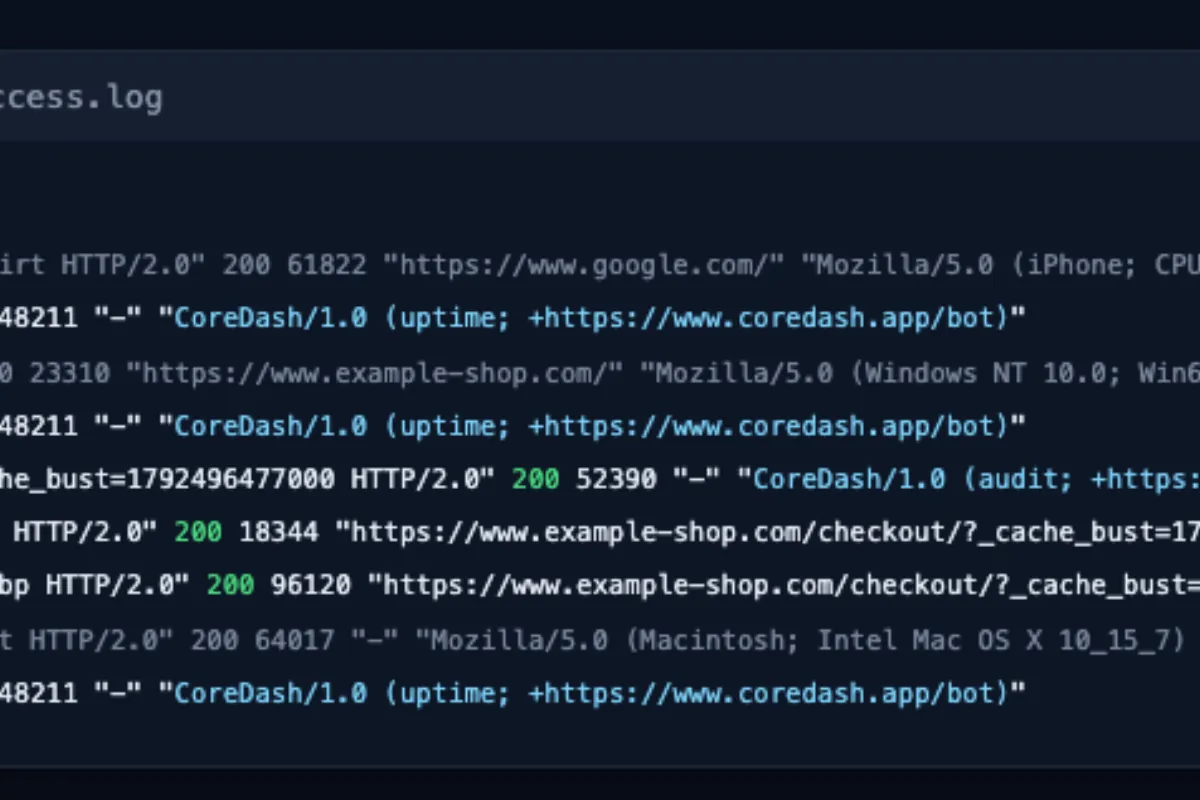 Core Web Vitals CoreDash Bots: User Agents, IP List and What They Request