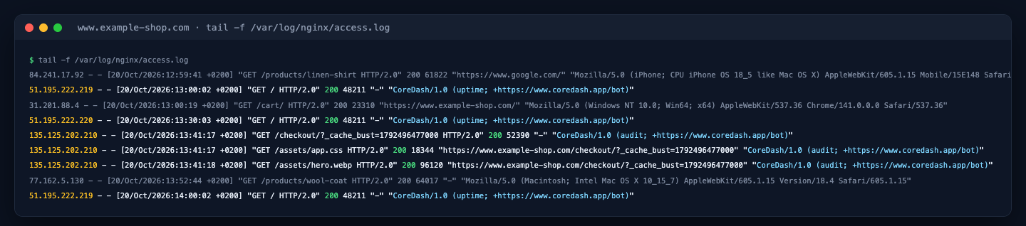 Nginx access log of www.example-shop.com: CoreDash uptime checks at 13:00, 13:30 and 14:00 asking for the home page, and a CoreDash audit loading /checkout/ with its CSS and an image, between normal visitors